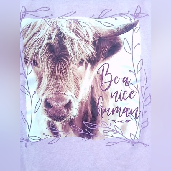 Women's Pink Be a Nice Human Cow T Shirt Size Medium M Farm to Market Cattle - Picture 2 of 3
